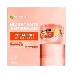 Hidr Fac Garnier Tq Seco Antissinais 85G