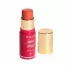 Niina Secrets Blush Stick Daily 5G Coral