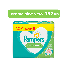 Lenço Umedecido Pampers Aloe Vera L4p3 192Un