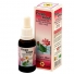 PROPOLOTUS LIQUIDO EXTRATO DE PROPOLIS LOTUS 30 ML x 1